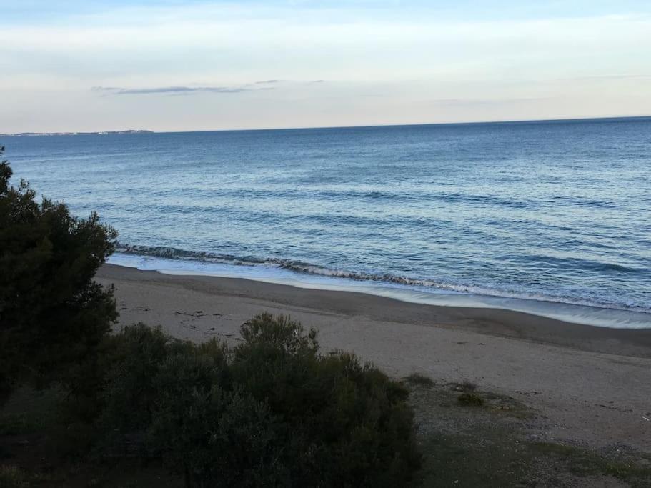 Beach-Lovers - Apartamento 1Era Linia Mar Miami Playa Luaran gambar